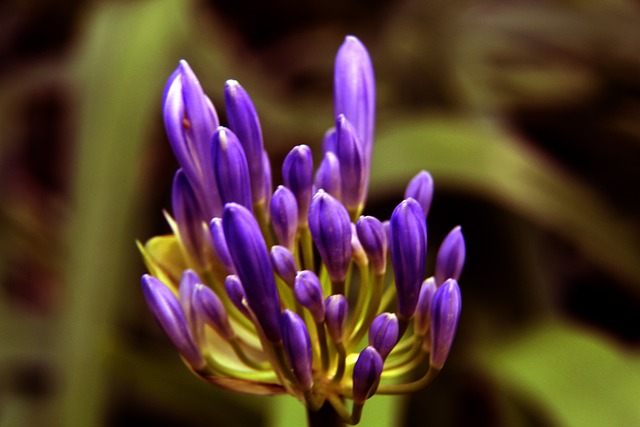 TA：阿森纳接近挖走那不勒斯的首席球探米凯利